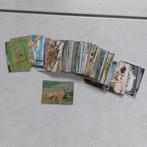 Lot prentjes: dieren van overal: Uitg. Full Speed, Collections, Enlèvement ou Envoi