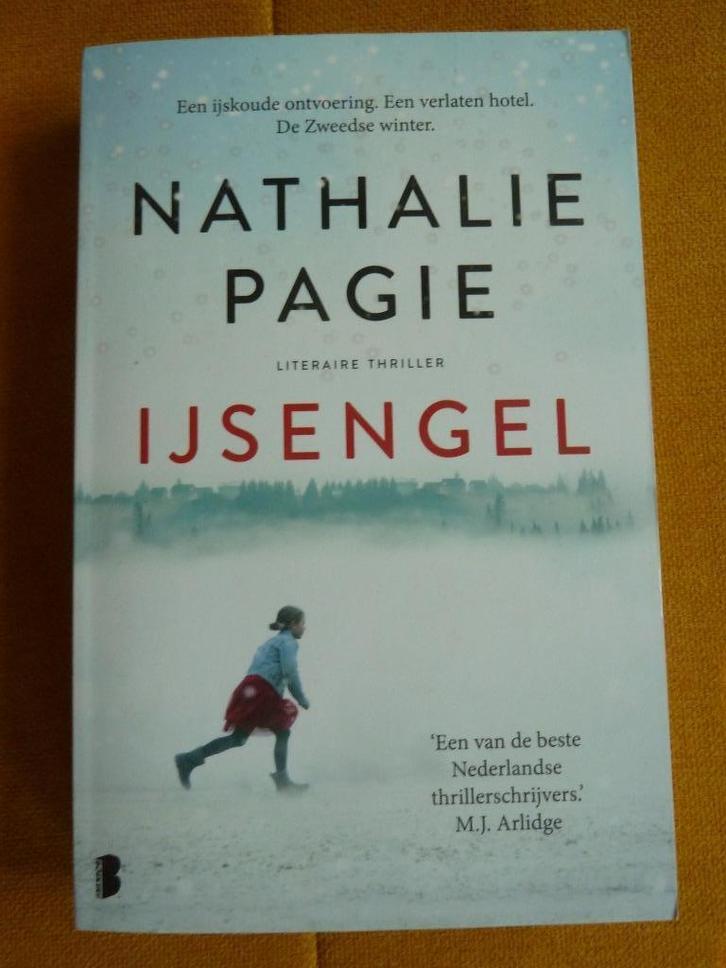 ijsengel, Boeken, Overige Boeken, Zo goed als nieuw, Ophalen of Verzenden