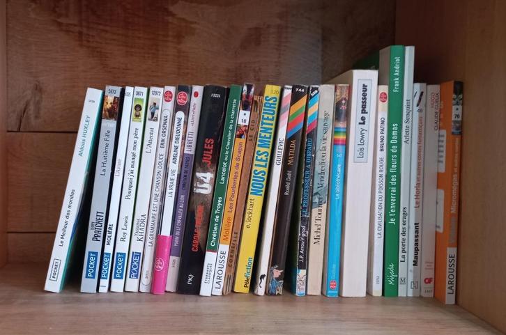 Livres/romans pour cours de français Ecole secondaire, Boeken, Schoolboeken, Frans, ASO, Ophalen of Verzenden