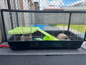 Hamsterkooi beschikbaar voor biedingen