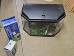 Aquarium en alle toebehoren, Ophalen, Gebruikt, Gevuld zoetwateraquarium