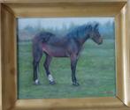 O. JOMO / PAARD IN DE WEIDE / OLIEVERF / 65x75x6cm / KADER, Enlèvement