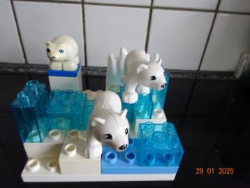 duplo, leuk speelset "pooldieren ijsberen"  beschikbaar voor biedingen