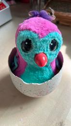 Hachimals, Ophalen, Zo goed als nieuw