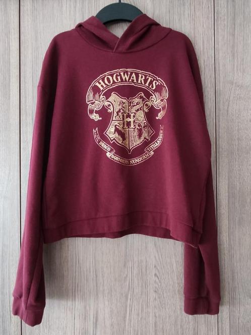Harry Potter Trui met gouden logo en kap, maat 170, H&M, Enfants & Bébés, Vêtements enfant | Taille 170, Comme neuf, Fille, Pull ou Veste