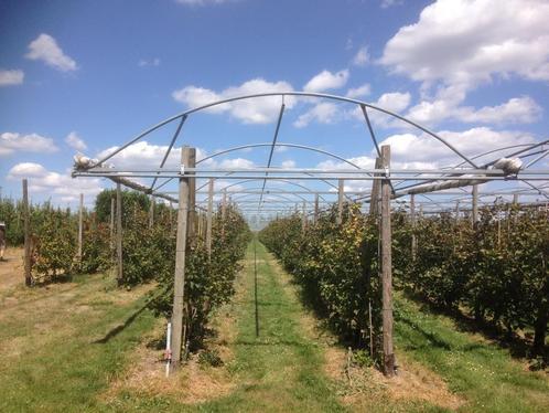 Regenkappen, Zakelijke goederen, Landbouw | Aardappelen, Groenten, Fruit en Vlees, Ophalen