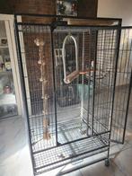 Cage perroquet, Animaux & Accessoires, Enlèvement, Utilisé, Cage à oiseaux