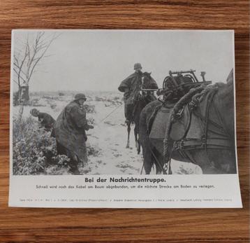 Photo du Nachrichtentruppe Kriegsberichter allemand de la Se, Enlèvement ou Envoi