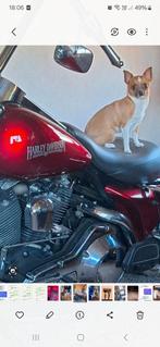 Harly electra glide, Motoren, Ophalen of Verzenden, Gebruikt