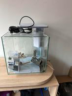 Aquarium qubiq pro 30, Dieren en Toebehoren, Ophalen, Zo goed als nieuw