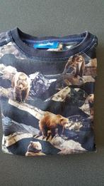 Trui jongen donkerblauw met beren., Kinderen en Baby's, Kinderkleding | Maat 122, Ophalen, Gebruikt, Jongen