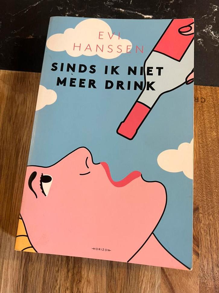 Evi Hanssen - Sinds ik niet meer drink, Boeken, Psychologie, Ophalen of Verzenden