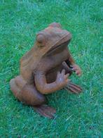 Roestig gietijzeren beeld van een kikker., Ophalen of Verzenden, Nieuw, Metaal, Dierenbeeld