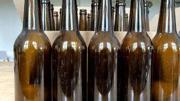 bouteilles de bière brunes à long col 50 cl