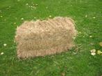 Foin à vendre, Articles professionnels, Agriculture | Aliments pour bétail, Enlèvement