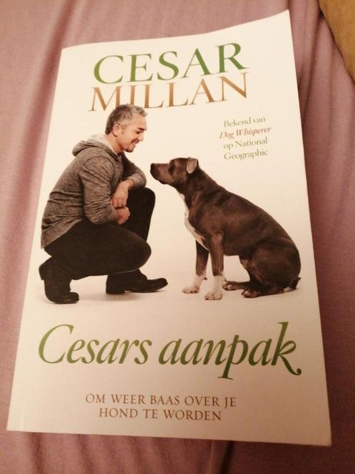 Melissa Jo Peltier - Cesars aanpak, Boeken, Dieren en Huisdieren, Zo goed als nieuw, Honden, Ophalen