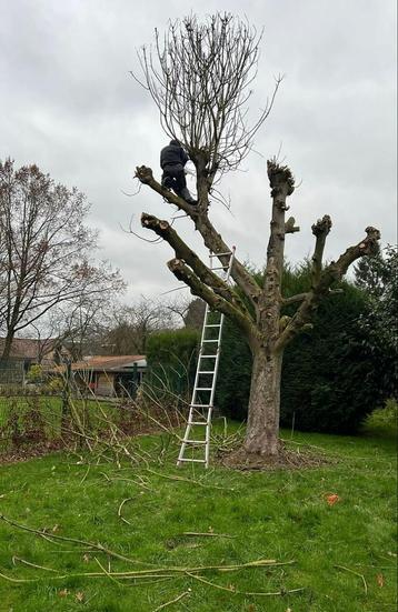 Jardin ️ clôture  terrasse ️ 0467 74 24 65, Enlèvement ou Envoi