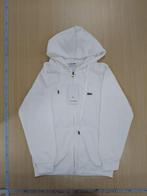 Lacoste L vest, Kleding | Heren, Truien en Vesten, Maat 52/54 (L), Nieuw, Ophalen of Verzenden, Wit