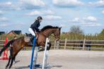 Halve stal of full  lease  recreatie paardje aangeboden., Merrie
