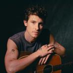 2 VIP tickets Shawn Mendes 20 Augustus Ziggo Dome Amsterdam, Tickets en Kaartjes, Twee personen, Augustus