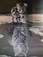 Diamond painting tijgers full vierkant 50x60, Hobby en Vrije tijd, Knutselen, Ophalen, Nieuw