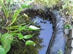 Plantes aquatiques., Ophalen