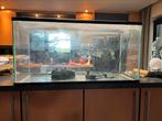 Aquarium, Dieren en Toebehoren, Ophalen, Gebruikt