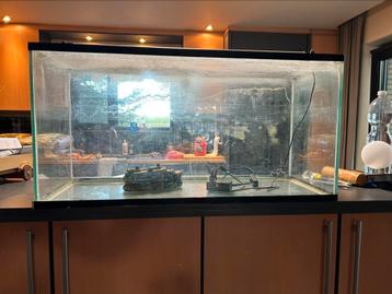 Aquarium beschikbaar voor biedingen