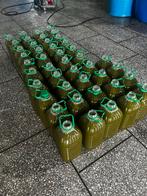 Extra vierge olijfolie uit eigen bomen – 55€, Tuin en Terras, Planten | Bomen, Ophalen of Verzenden