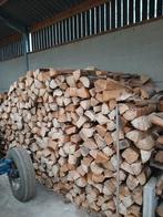 Bois chauffage, Jardin & Terrasse, Bois de chauffage, Enlèvement, Aulne