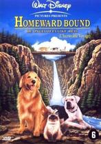 HOMEWARD BOUND ( WALT DISNEY ), CD & DVD, DVD | Enfants & Jeunesse, Enlèvement ou Envoi