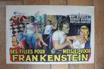 filmaffiche I Was A Teenage Frankenstein 1957 filmposter, Verzamelen, Posters, Rechthoekig Liggend, Ophalen of Verzenden, Zo goed als nieuw