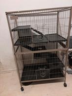 Rattenhok, 90 cm ou plus, 75 à 110 cm, Cage, Comme neuf