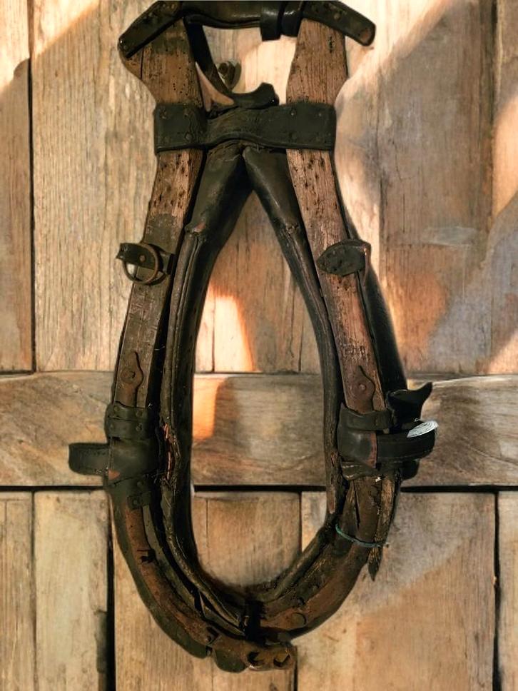 Antiek juk voor paarden, Antiek en Kunst, Antiek | Gereedschap en Instrumenten, Ophalen of Verzenden