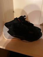 Nieuwe Nike zoom air (Jordan), Sport en Fitness, Basketbal, Ophalen, Nieuw, Schoenen