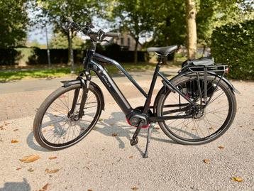 Stella Morena, zwart, framehoogte medium  beschikbaar voor biedingen