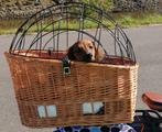 Fietsmandje Basil voor kleine hond/ als nieuw, Fietsen en Brommers, Fietsaccessoires | Fietsmanden, Ophalen, Zo goed als nieuw