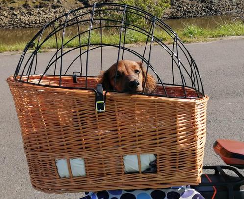 Fietsmandje Basil voor kleine hond/ als nieuw, Fietsen en Brommers, Fietsaccessoires | Fietsmanden, Zo goed als nieuw, Fietsmand