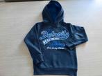 Hoodie - Maat 116, Ophalen of Verzenden, Zo goed als nieuw, Jongen, Trui of Vest