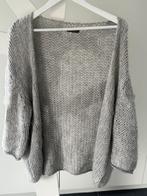 gilet bernadette gris avec bordure argentée Taille unique, Vêtements | Femmes, Pulls & Gilets, Enlèvement ou Envoi, Porté, Gris