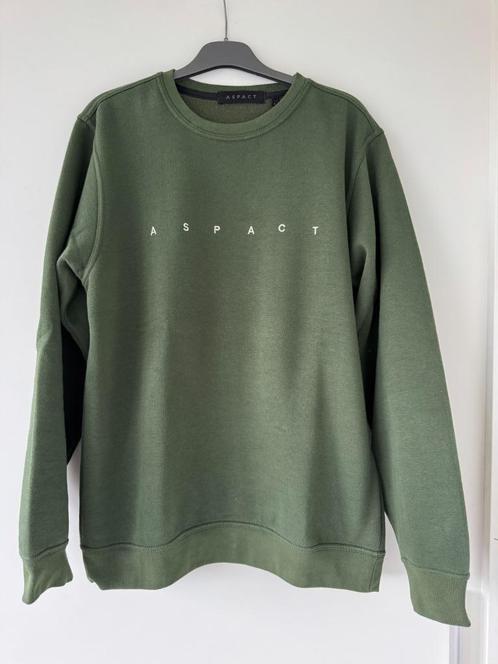 Sweater (L) van Aspact, Kleding | Heren, Truien en Vesten, Zo goed als nieuw, Maat 52/54 (L), Groen, Verzenden