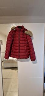 Tommy hilfiger jas, Kleding | Dames, Jassen | Winter, Ophalen of Verzenden, Zo goed als nieuw