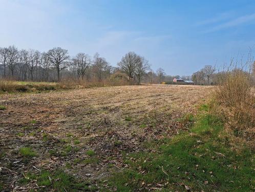 Landbouwgrond, weide,  akkergrond te koop Geel/ Kasterlee, Immo, Gronden en Bouwgronden