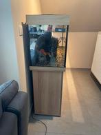 Aquarium jewel 240, Dieren en Toebehoren, Ophalen