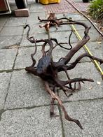 Spiderwood voor in aquarium, Dieren en Toebehoren, Ophalen