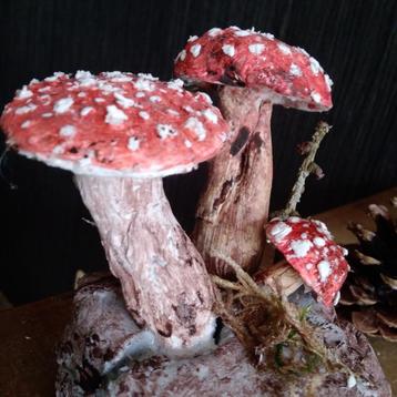 Prachtige botanische paddenstoelen in gips  beschikbaar voor biedingen