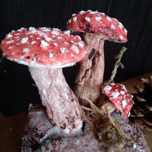 Prachtige botanische paddenstoelen in gips, Antiek en Kunst, Curiosa en Brocante, Verzenden