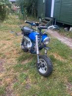 Monkey b klasse, Ophalen, Hond, Overige typen, 72 cc