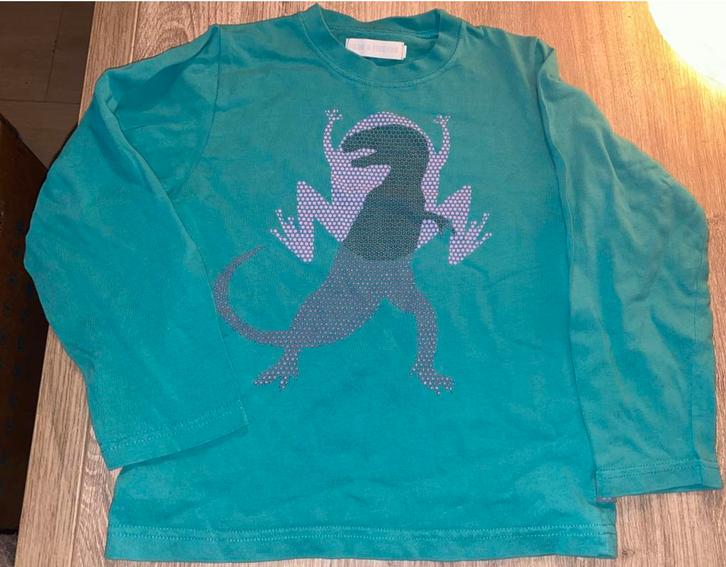 Filou & Friends - dino - maat 122, Kinderen en Baby's, Kinderkleding | Maat 122, Zo goed als nieuw, Ophalen of Verzenden