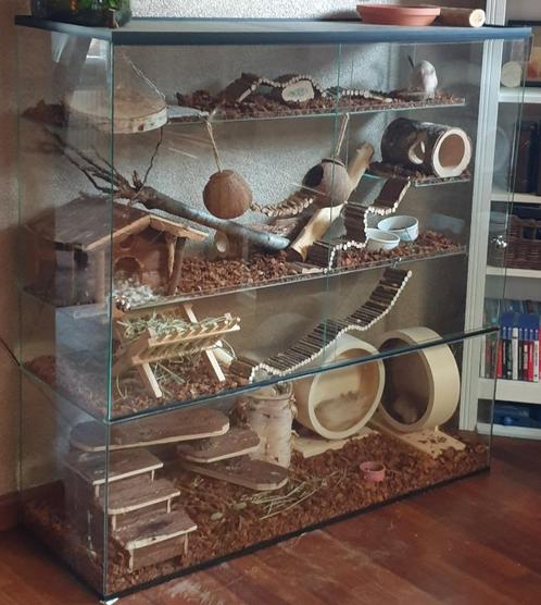 Degoe en Chinchilla Verblijven – Luxe Glazen Terrariums, Dieren en Toebehoren, Knaagdieren en Konijnen | Hokken en Kooien, Nieuw